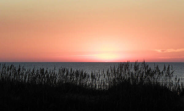 Sunrise Poster featuring the photograph The Start Of A Beautiful Rise by Kim Galluzzo