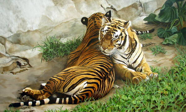 Tiger Poster featuring the painting Wild Content by Sandra Chase