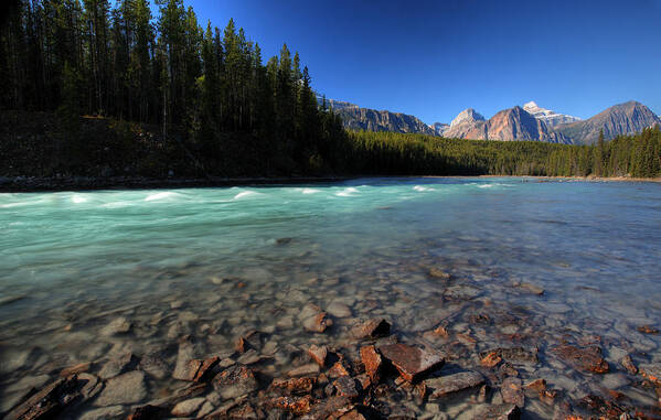 Maligne River Poster featuring the digital art Athabasca River in Jasper National Park #1 by Mark Duffy