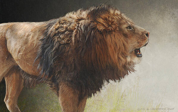Africa Poster featuring the photograph Lion Portrait #1 by R christopher Vest