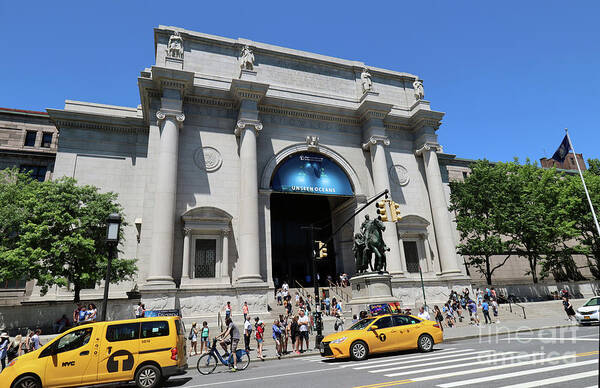 Museum Of Natural History Poster featuring the photograph Museum of Natural History #1 by Steven Spak