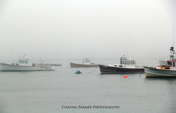 Boats Poster featuring the photograph Peaceful #1 by Becca Wilcox