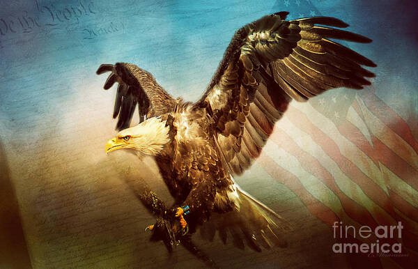 Eagle Poster featuring the photograph We The People #1 by Eleanor Abramson