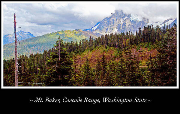 Northwest Poster featuring the photograph Mt. Baker, Cascade Range, Late Afternoon #2 by A Macarthur Gurmankin