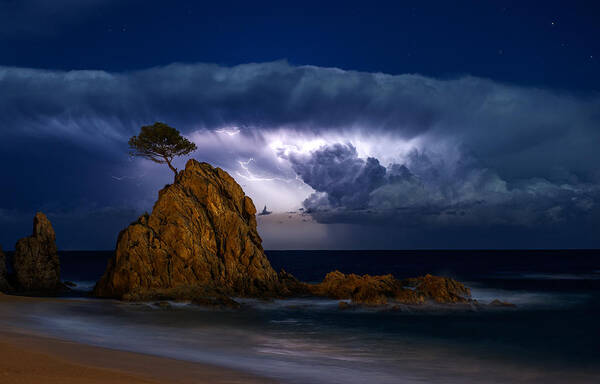 Landscape Poster featuring the photograph A Storm Behind The Pine by Jordi Ferre