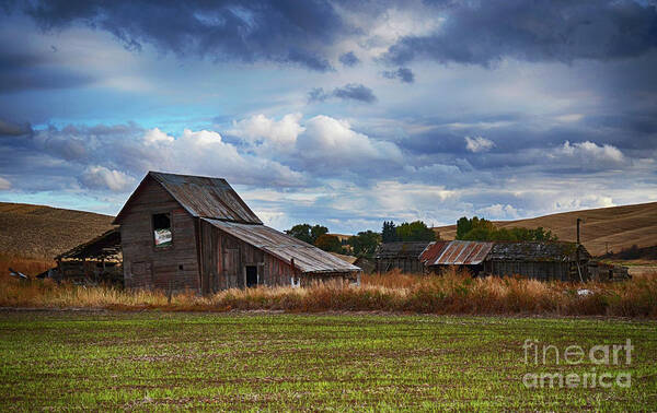 Barn Poster featuring the photograph Abandoned Farm Palouse Washington by Bob Christopher