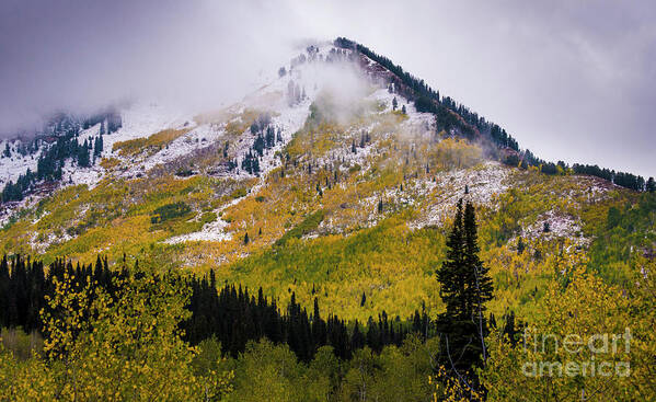 Utah Poster featuring the photograph Alpine Loop Autumn Storm - Wasatch Mountains by Gary Whitton