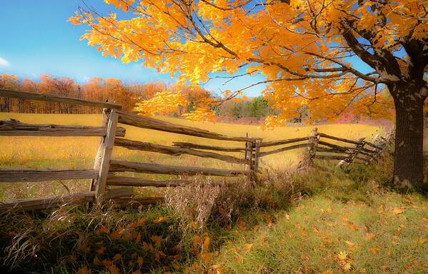 Ideal Autumn Poster featuring the photograph An Ideal Autumn by Karl Anderson