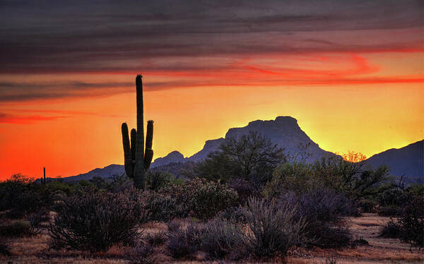 Saguaro Sunset Poster featuring the photograph As The Sun Sets on Red Mountain by Saija Lehtonen