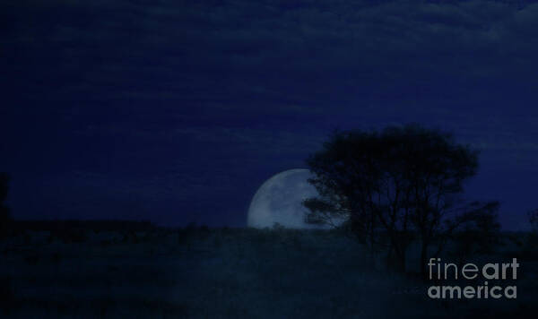 Vicki Ferrari Photography Poster featuring the photograph Australian Blue Moon by Vicki Ferrari