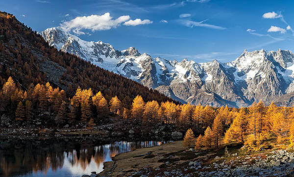 Alps Poster featuring the photograph Autumn In The Alps by Alfredo Costanzo
