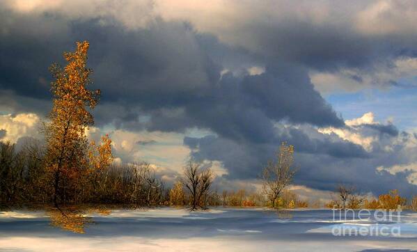 Trees Poster featuring the photograph Autumn Skies by Elfriede Fulda