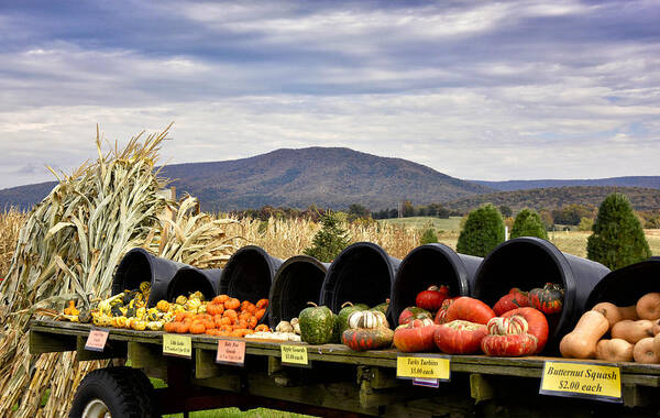 pumpkin Farm Poster featuring the photograph Autumnal abundance in the Blue Ridge Mountains - Virginia by Brendan Reals