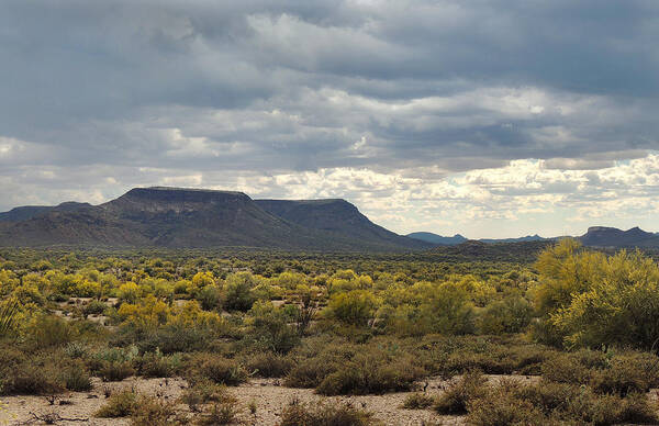 Southwestern Poster featuring the photograph Beautiful Arizona Vista by Gordon Beck