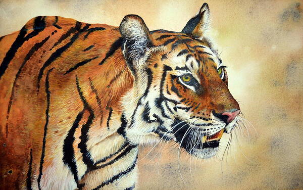 Bengal Tiger Poster featuring the painting Bengal Tiger by Paul Dene Marlor