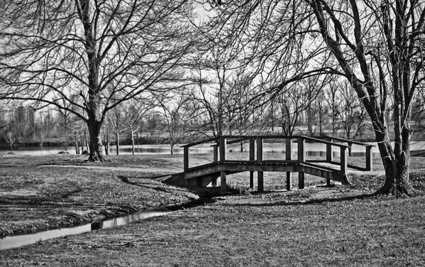 Bridge And Branches Poster featuring the photograph Bridge and Branches by Greg Jackson
