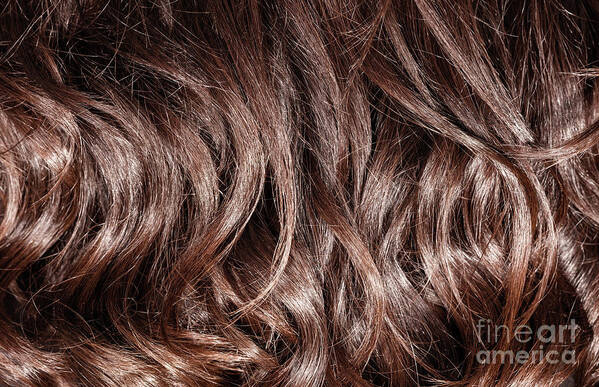 Backdrop Poster featuring the photograph Brown curly hair background by Anna Om