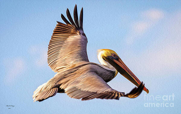 Nature Poster featuring the digital art Brown Pelican In Flight - TWO by DB Hayes