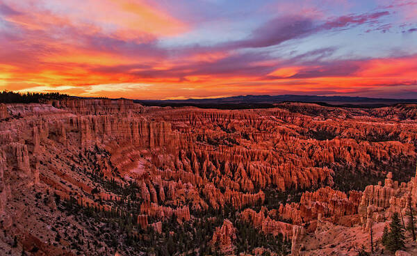 Bryce Canyon Poster featuring the photograph Bryce Sunset by Judi Kubes