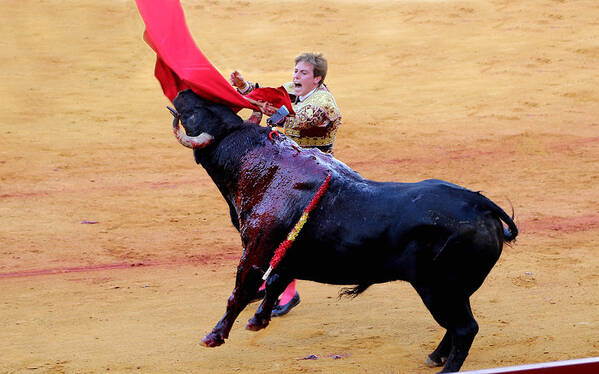 Bullfighting Poster featuring the photograph Bullfighting 28 by Andrew Fare