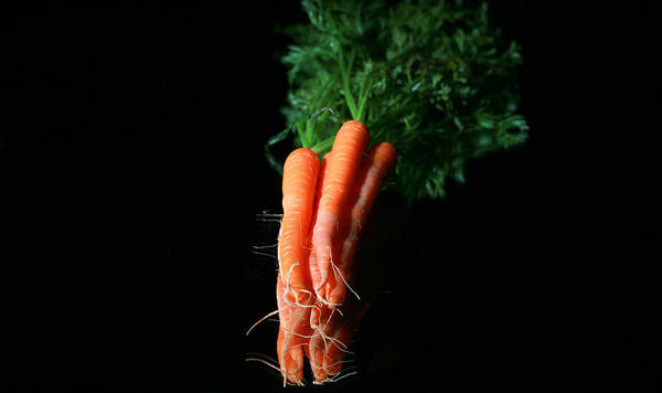 Agricultural Poster featuring the photograph Carrots by Mike Ledray