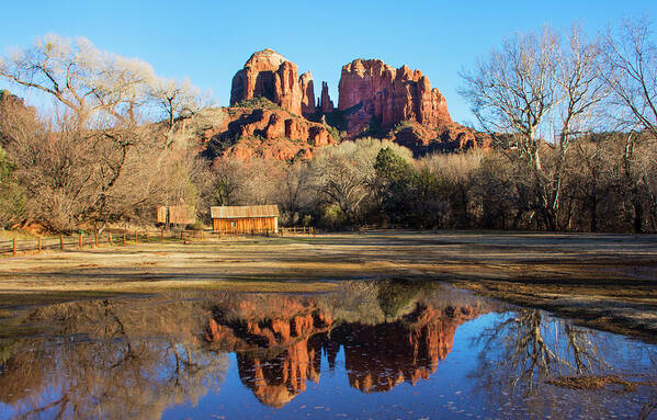 Sedona Poster featuring the photograph Cathedral Rock, Sedona by Barbara Manis