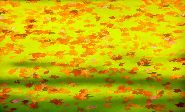 David Letts Poster featuring the painting Colorful Leaves on Canal by David Letts