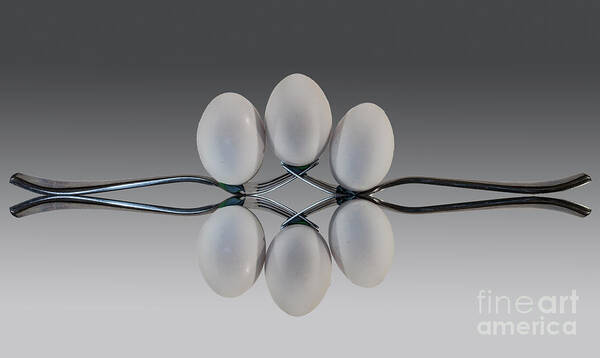 Eggs Poster featuring the photograph Egg Balance by Shirley Mangini