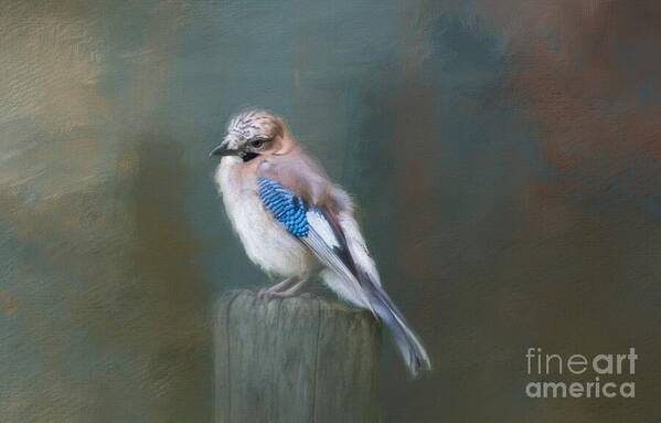 Eurasian Jay Poster featuring the painting Eurasian Jay by Eva Lechner