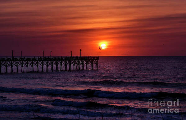 Topsail Island Poster featuring the photograph Fly to the Sun by DJA Images