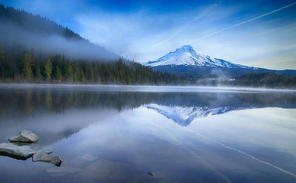 Fog And The Lake Poster featuring the photograph Fog and the lake by Lynn Hopwood