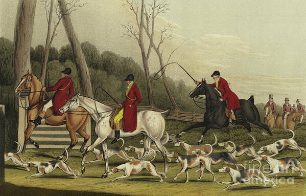 Fox Hunting Going Into Cover Poster featuring the painting Fox Hunting going into Cover by Henry Thomas Alken