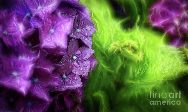 Fractals Poster featuring the photograph Fractals and Flowers by Cameron Wood