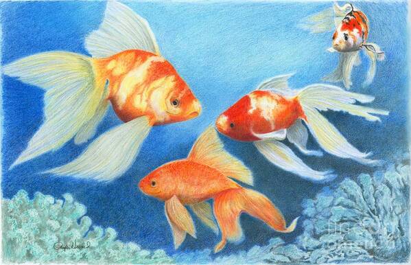 Fish Poster featuring the drawing Goldfish Tank by Phyllis Howard