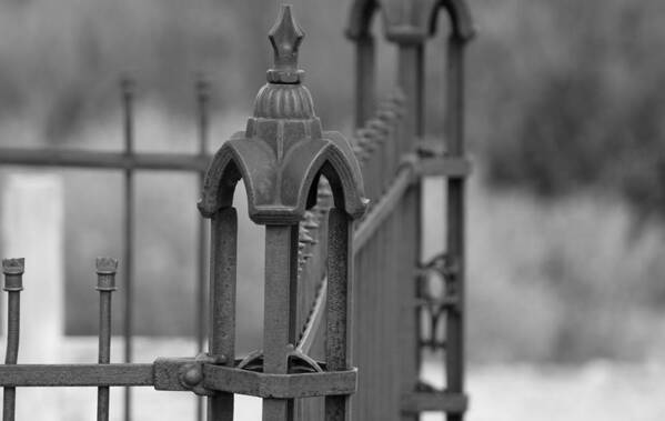 Gothic Ornamental Fence In Boothill Poster featuring the photograph Gothic Ornamental Fence in Boothill by Colleen Cornelius