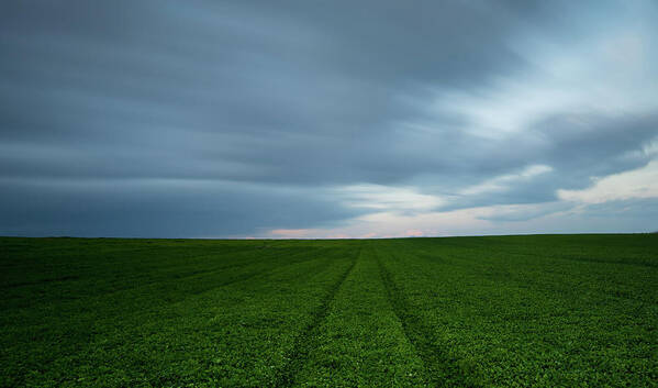 Freedom Poster featuring the photograph Green field and cloudy sky by Michalakis Ppalis