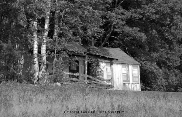 Cabin Poster featuring the photograph Hiding by Becca Wilcox