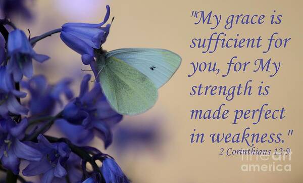 Scripture Art Poster featuring the photograph His Grace is Sufficient by Erica Hanel