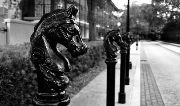 Fine Art Photography Poster featuring the photograph Horses in old orleans by David Lee Thompson