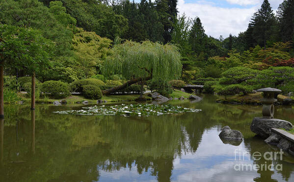 Seattle Poster featuring the photograph Japanese Gardens 3 by Carol Eliassen