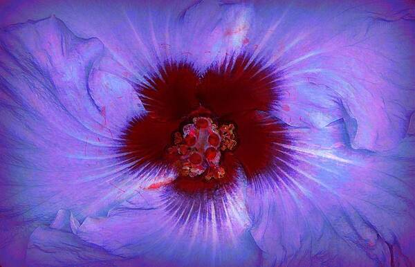 Hibiscus Poster featuring the photograph Lavender Blue Hibiscus by Lori Seaman