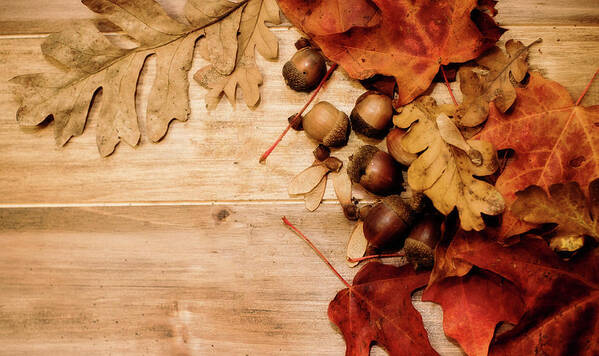 Fall Poster featuring the photograph Leaves and Nuts 1 by Rebecca Cozart