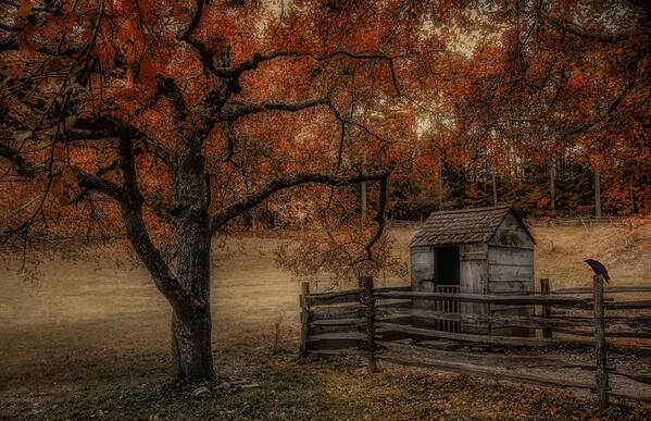 Outhouse Poster featuring the photograph Legend of the Fall by Robin-Lee Vieira