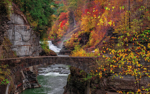 Landscape Poster featuring the photograph Letchworth Lower Falls by Mark Papke