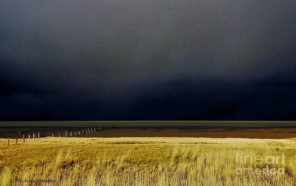 Light Before The Storm Poster featuring the photograph Light Before the Storm by Michele Penner