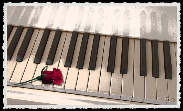 Piano Poster featuring the photograph Love Notes by Terri Harper