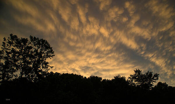 Clouds Poster featuring the photograph Looking Up #17 by Dana Sohr