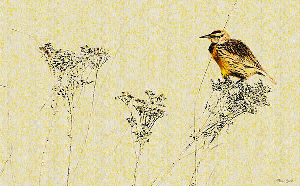 Meadowlark Poster featuring the photograph Meadowlark in Kansas Prairie 1 by Anna Louise