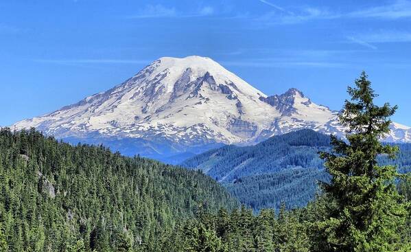 Mount Rainier Viewpoint Poster featuring the photograph Mount Rainier Viewpoint by Lynn Hopwood