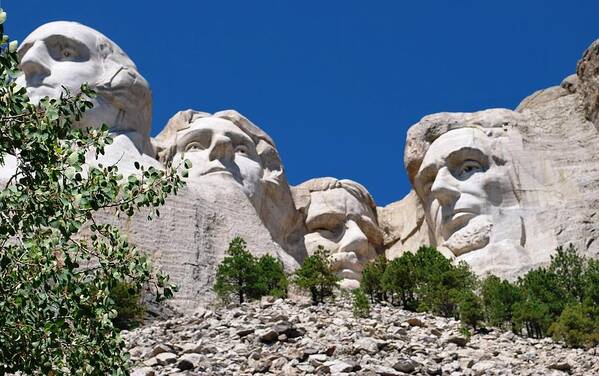 Tree Poster featuring the photograph Mount Rushmore Close Up View by Matt Quest